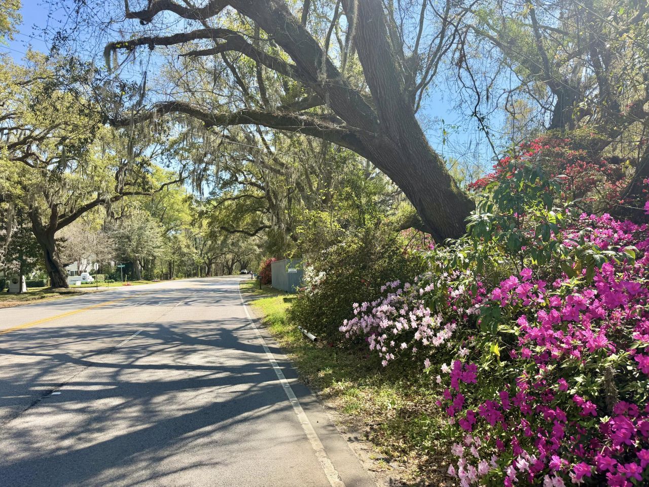 4173 Gnarled Oaks Lane Photo 37