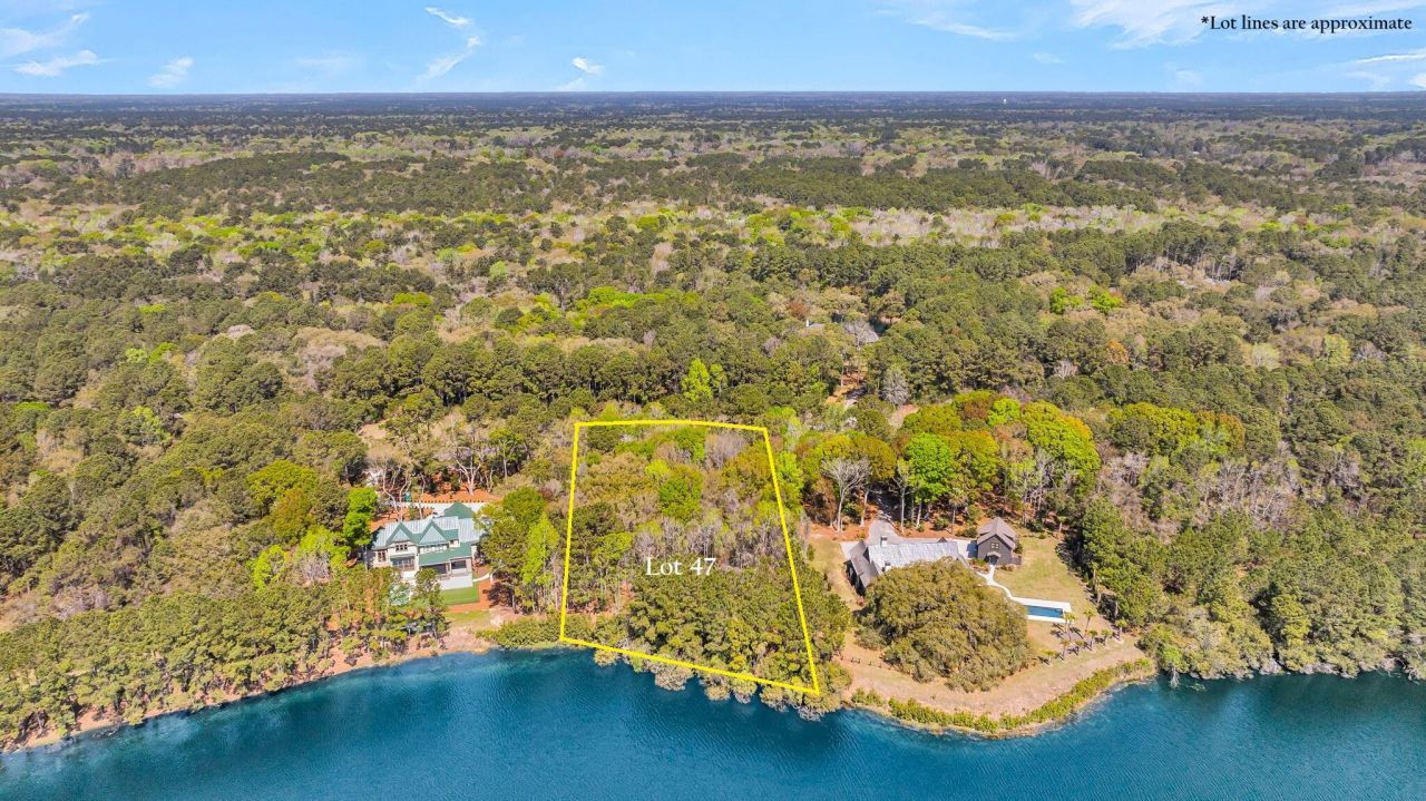 4173 Gnarled Oaks Lane Photo 8