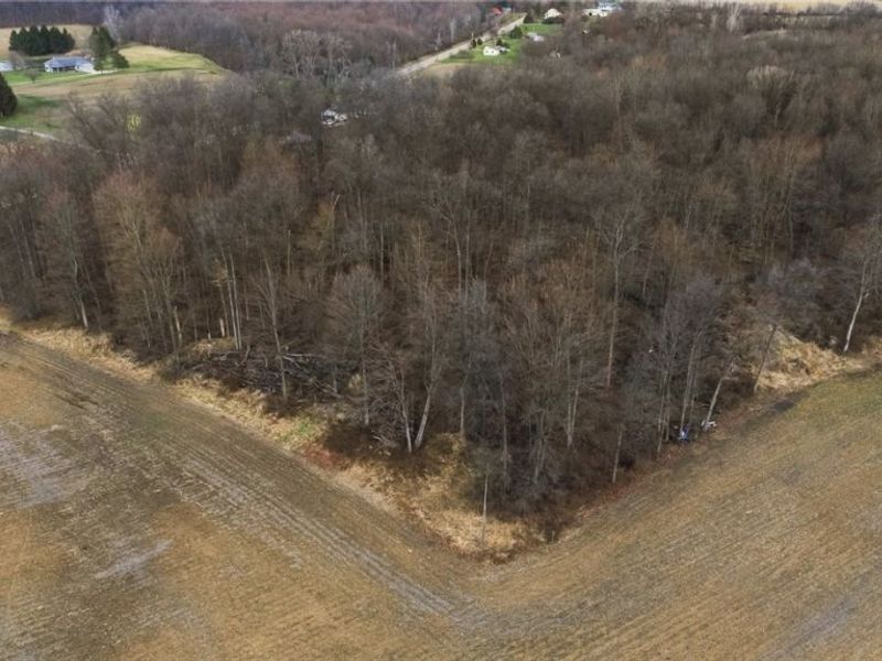 State Route 302, Ashland, OH 44805 Photo 11