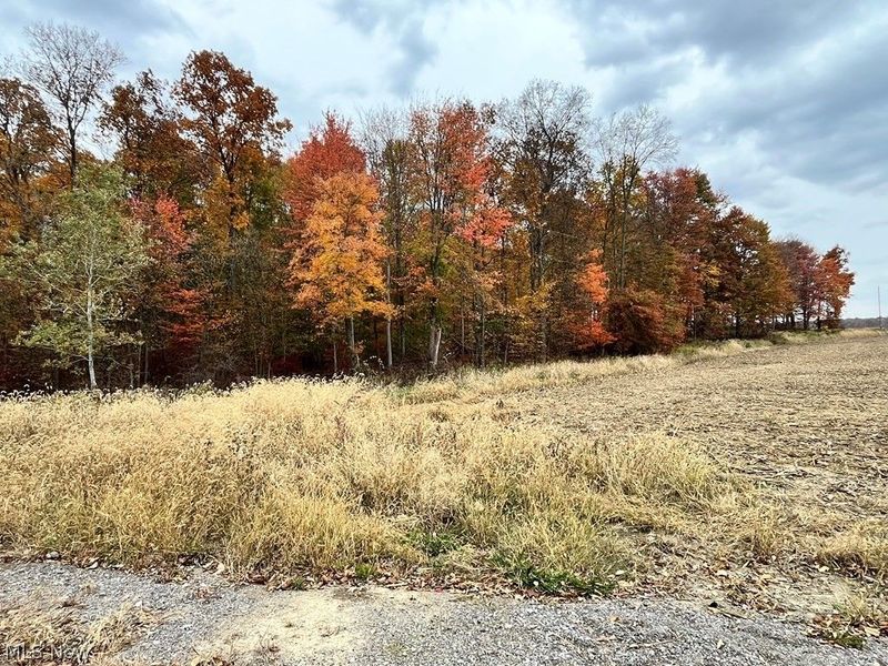 State Route 302, Ashland, OH 44805 Photo 20
