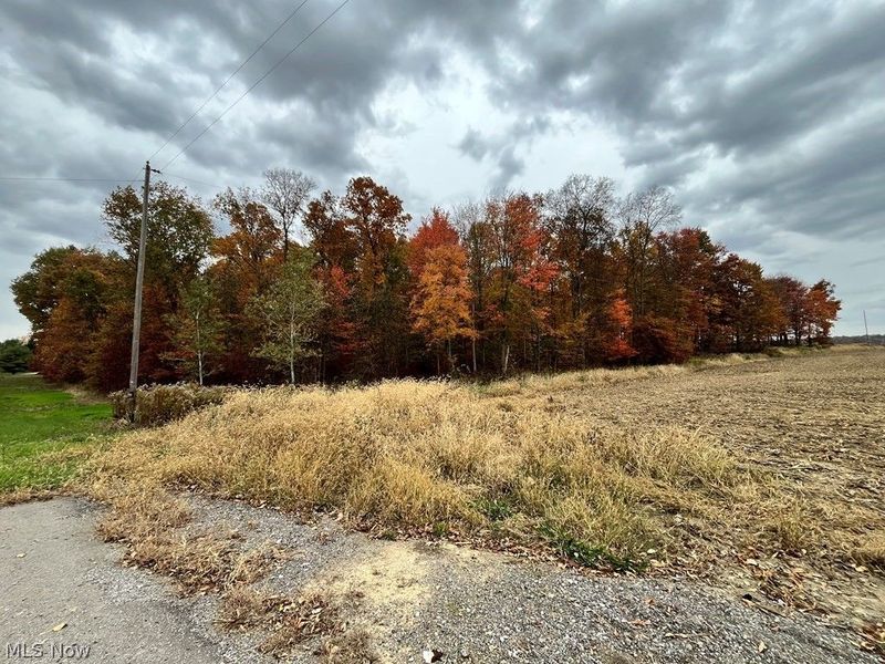 State Route 302, Ashland, OH 44805 Photo 21