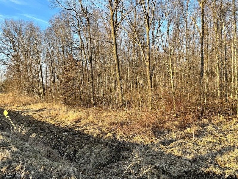 State Route 302, Ashland, OH 44805 Photo 22