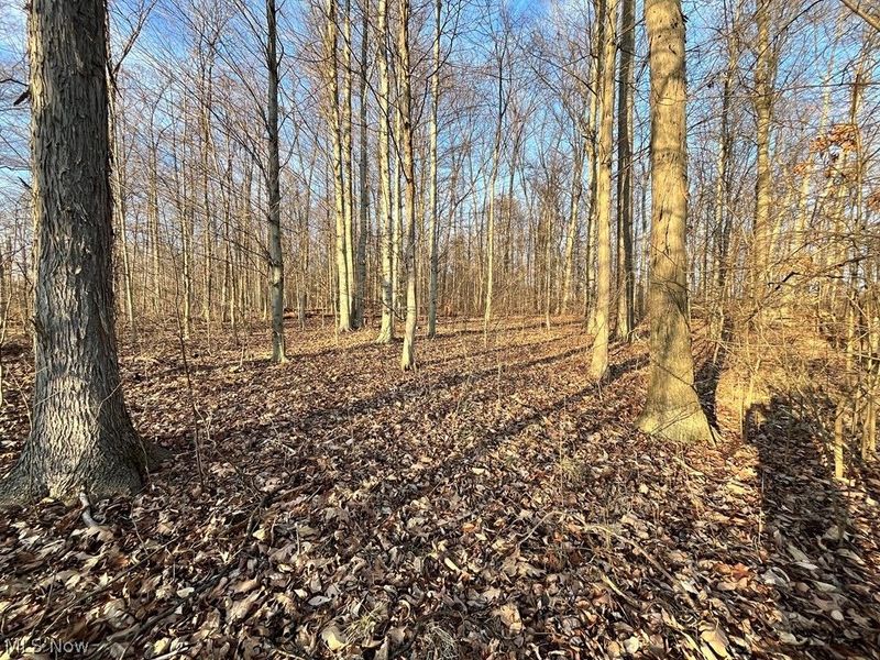 State Route 302, Ashland, OH 44805 Photo 24