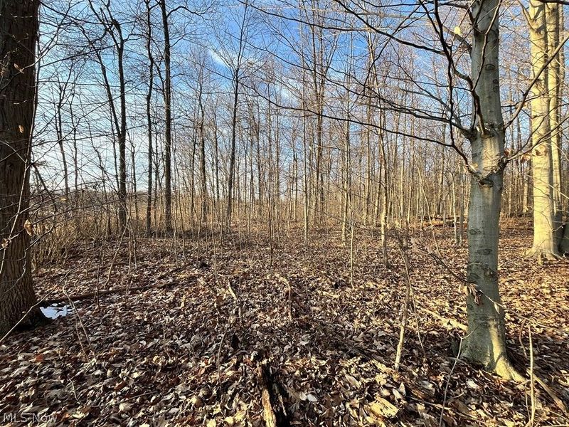 State Route 302, Ashland, OH 44805 Photo 25