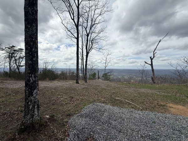 Lot 16 Scenic Highway, Rising Fawn, GA 30738