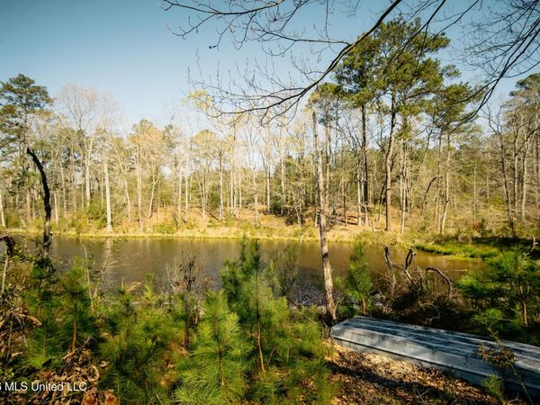 646 Harrisville Road, Braxton, MS 39044