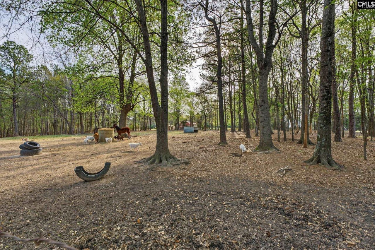 1313 Qualls Rd  Photo 28