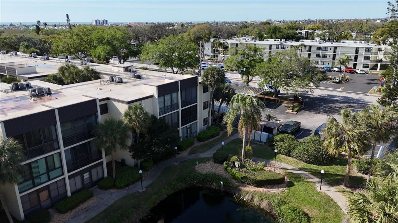 14255 Rosemary Lane , Unit 8216, Largo, FL 33774 Photo