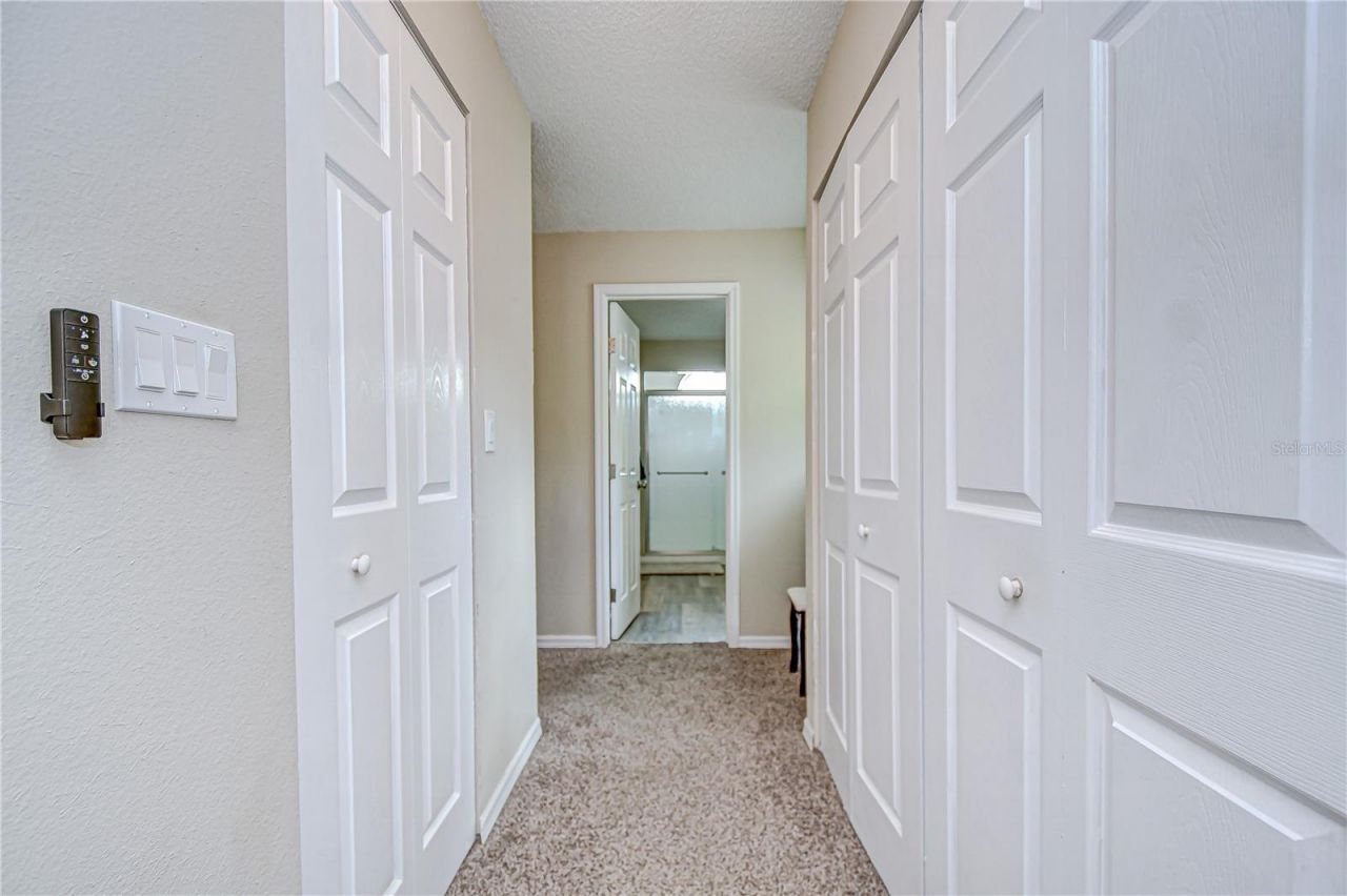 2020 Elk Spring Drive, Brandon, FL 33511 Photo