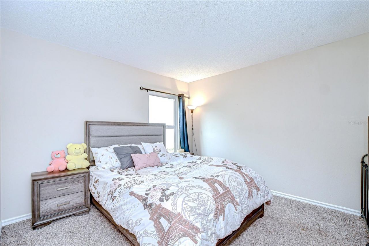 2020 Elk Spring Drive, Brandon, FL 33511 Photo