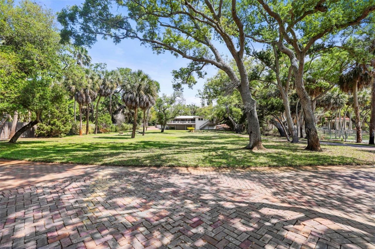 1600 Park Street N, Saint Petersburg, FL 33710 Photo