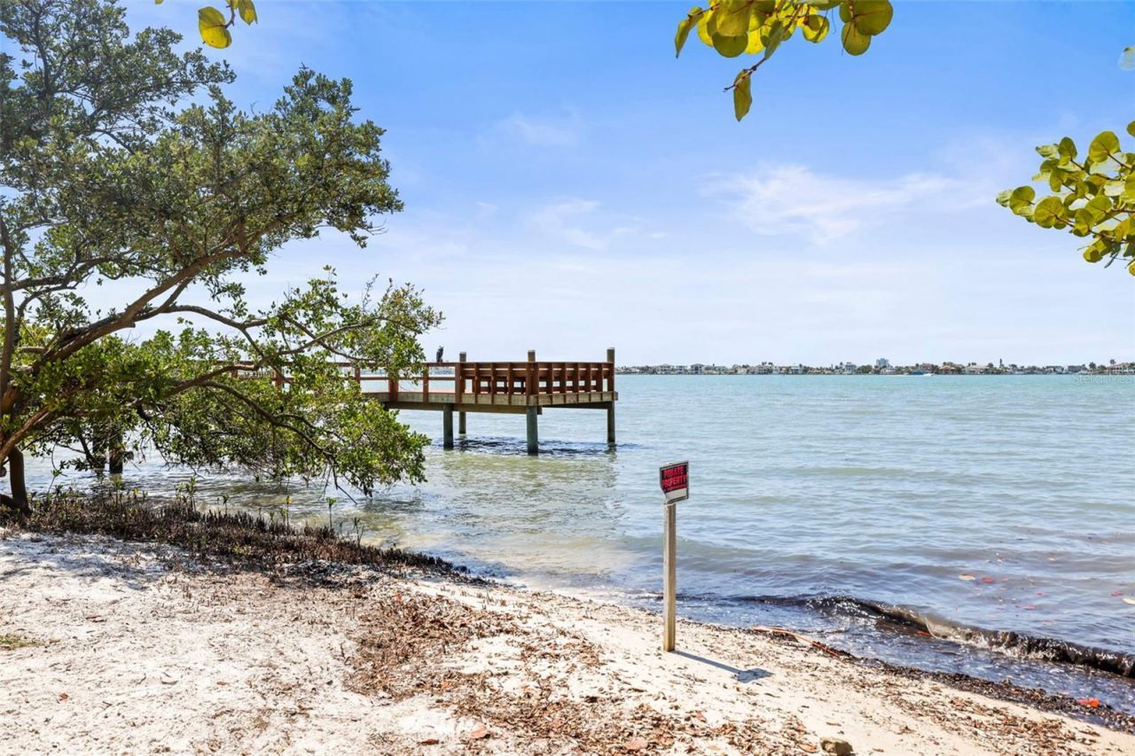 1600 Park Street N, Saint Petersburg, FL 33710 Photo