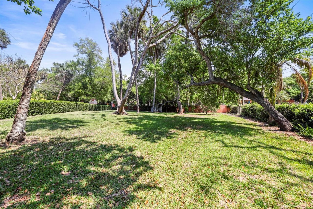 1600 Park Street N, Saint Petersburg, FL 33710 Photo