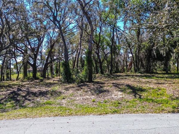 8362 ERIC STREET , SPRING HILL, FL 34608