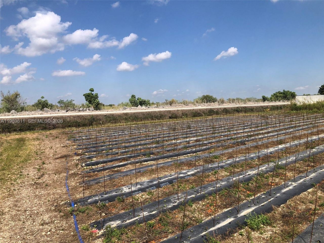 19550 SW 207 Ave , Miami, FL 33187 Photo