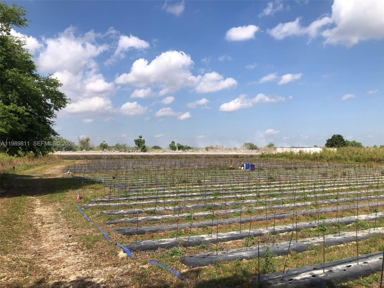 19550 SW 207 Ave , Miami, FL 33187 Photo