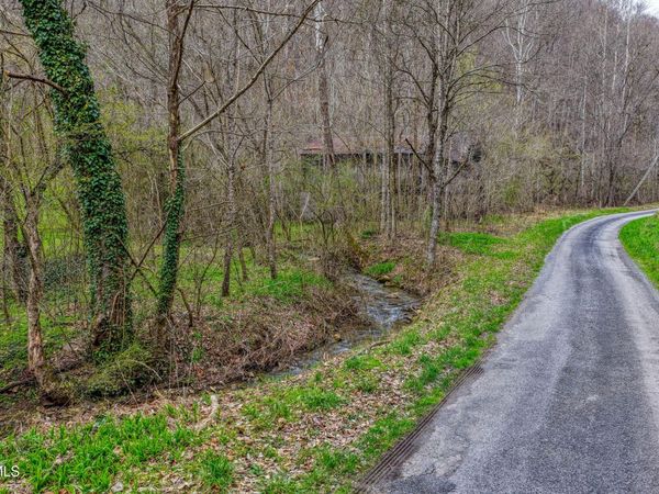 1795 Bear Hollow Road, Greeneville, TN 37745