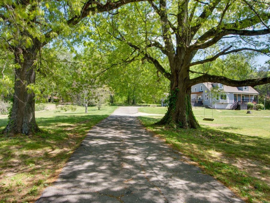 Property Image 53