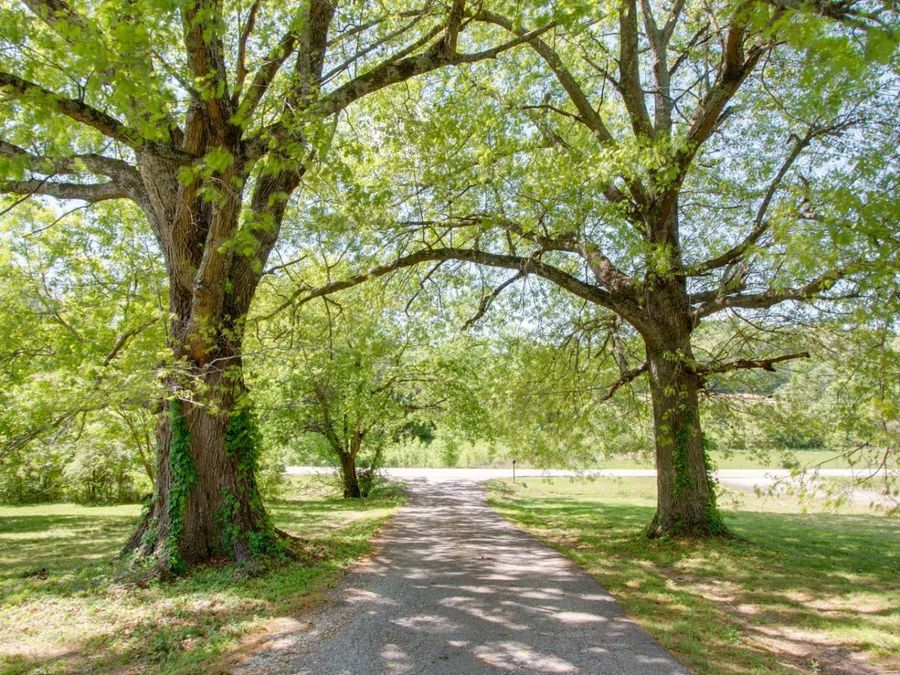 Property Image 55