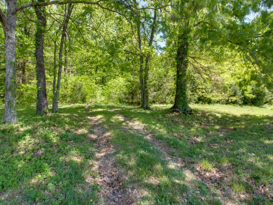 Property Image 65