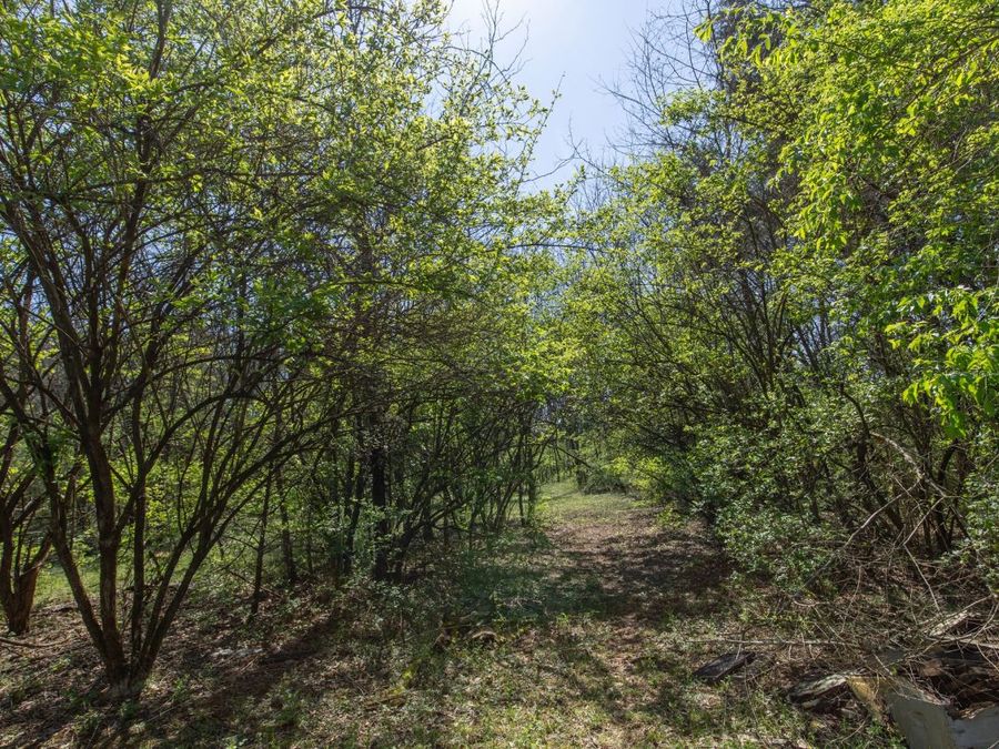 Property Image 34