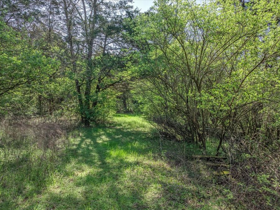 Property Image 43