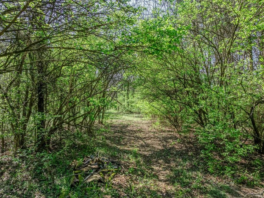 Property Image 45