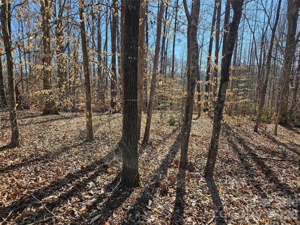 0 General Griffith Circle, Rutherfordton, NC 28139