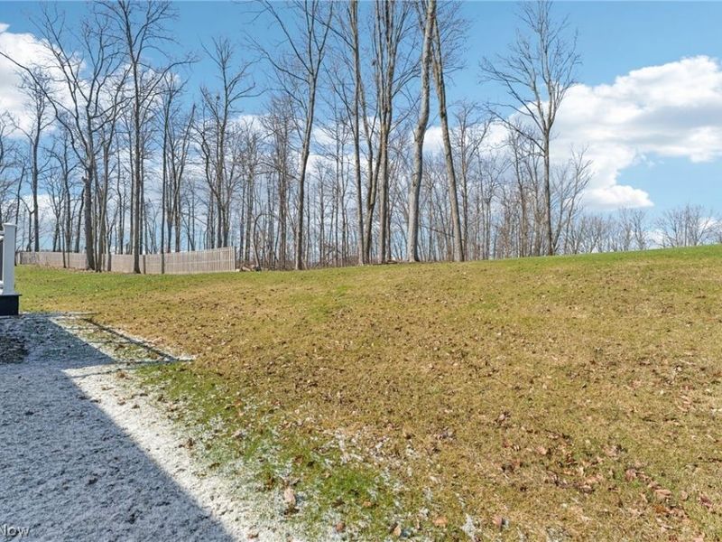 3509 Patterson Circle, Richfield, OH 44286 Photo 36