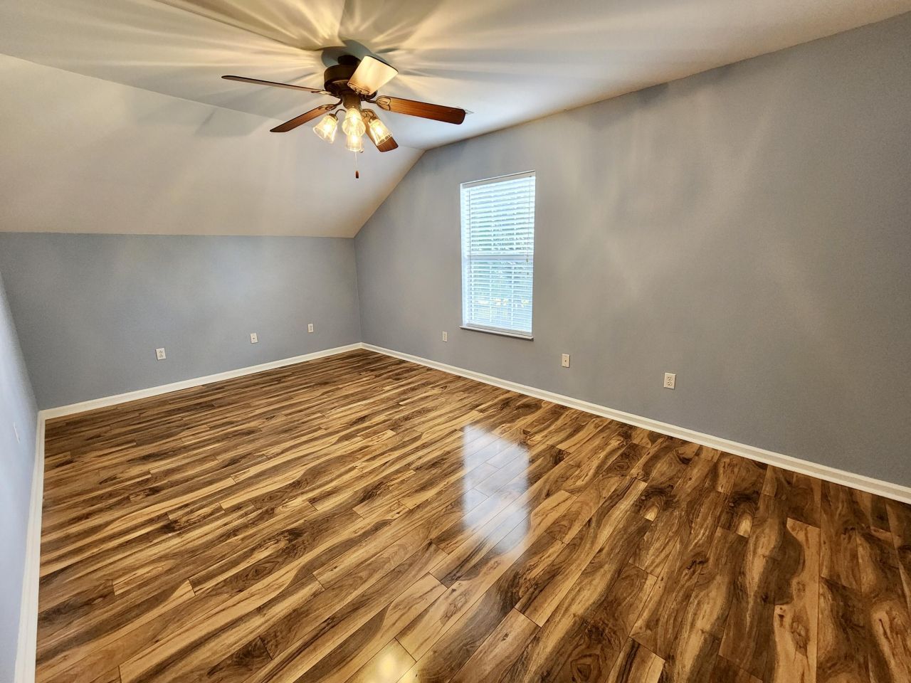 1203 Palm Cove Drive Photo 12