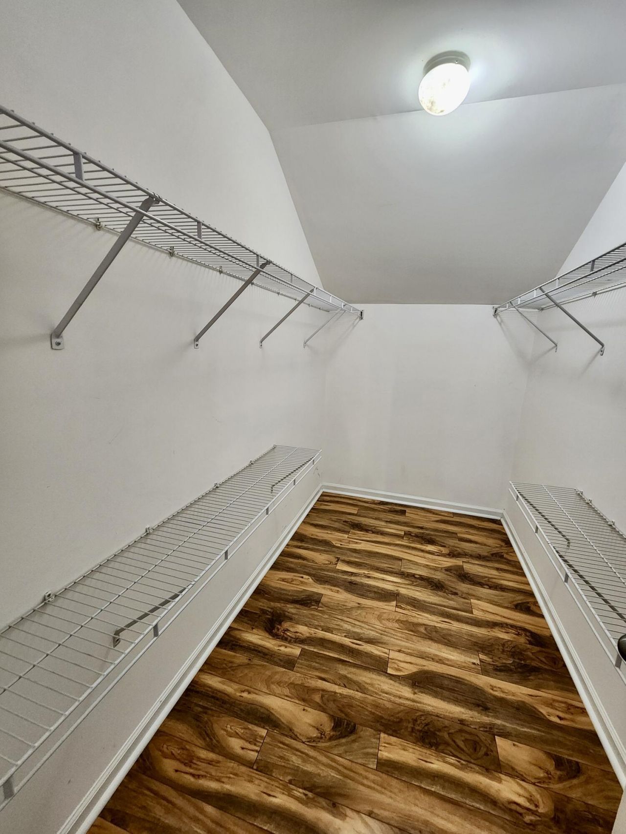 1203 Palm Cove Drive Photo 14