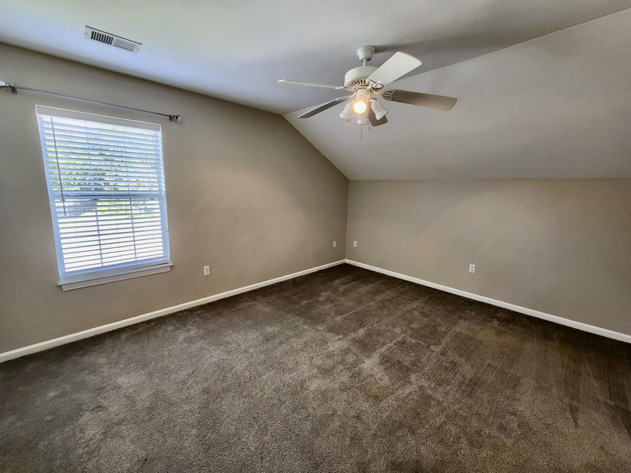 1203 Palm Cove Drive Photo 15