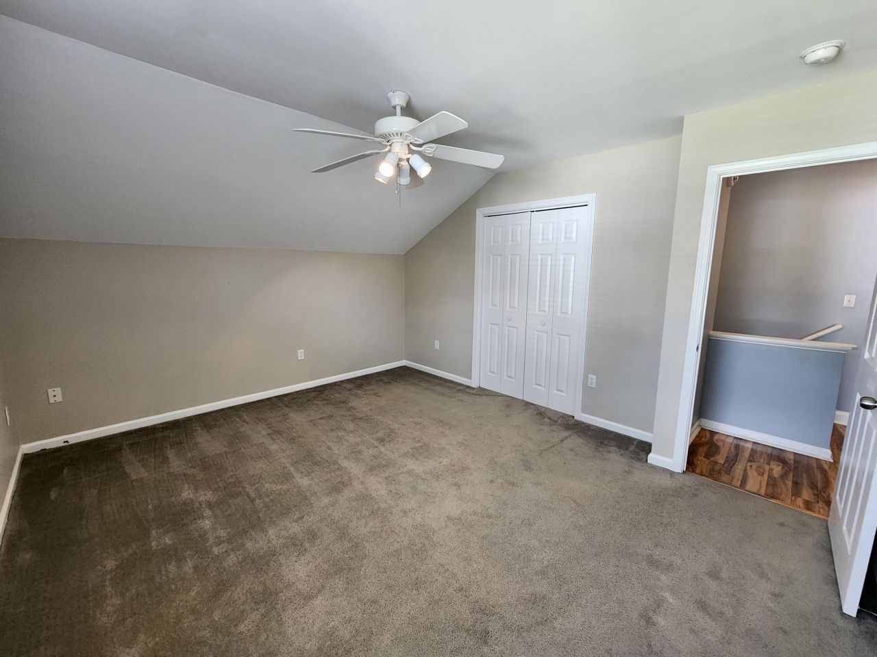 1203 Palm Cove Drive Photo 16