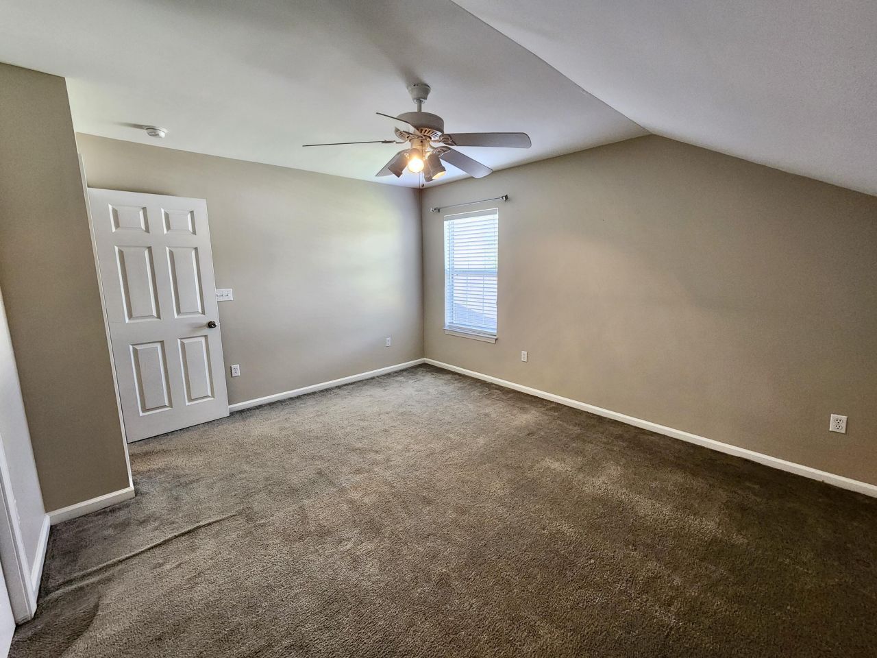 1203 Palm Cove Drive Photo 20