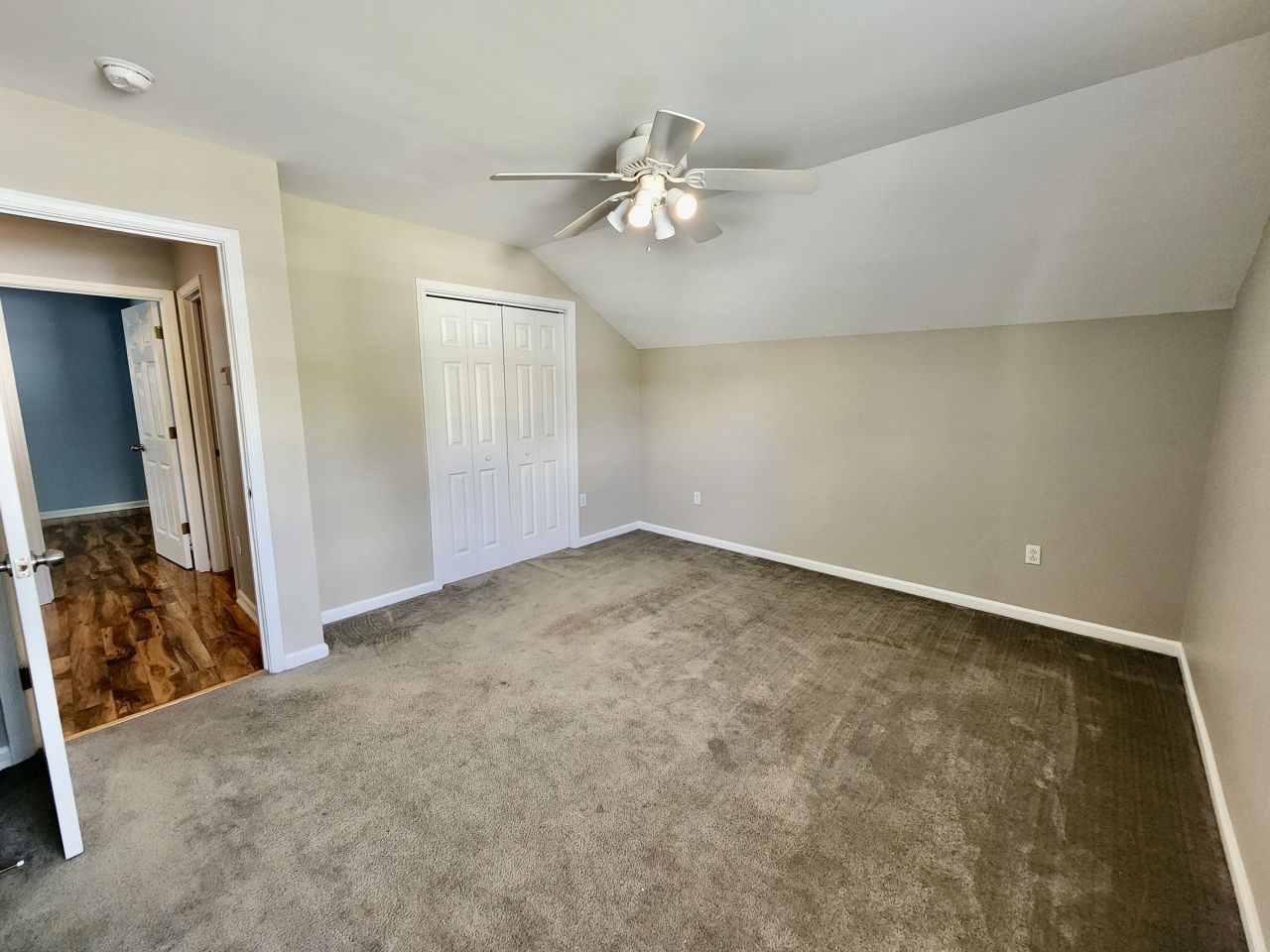 1203 Palm Cove Drive Photo 21