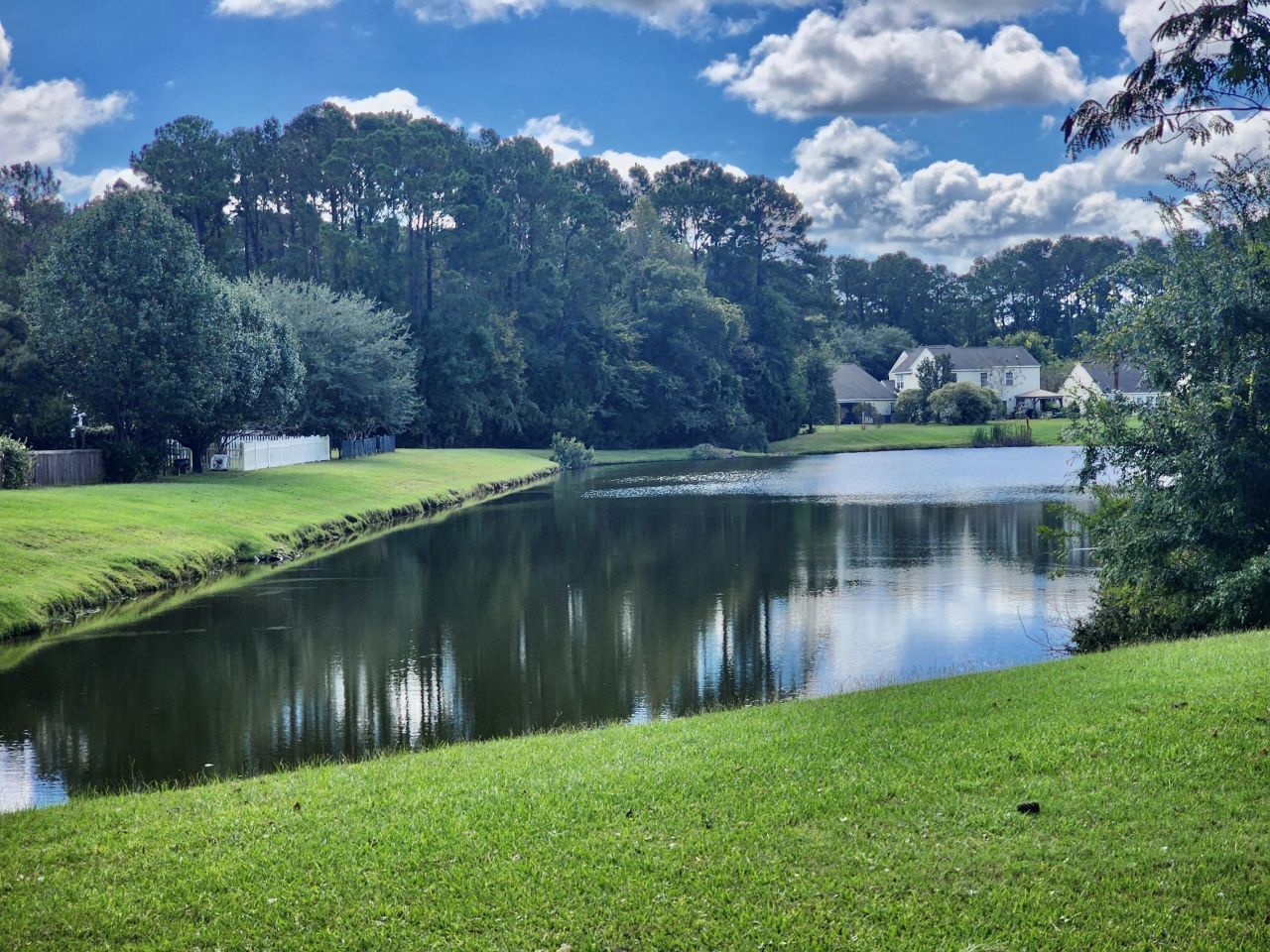 1203 Palm Cove Drive Photo 26