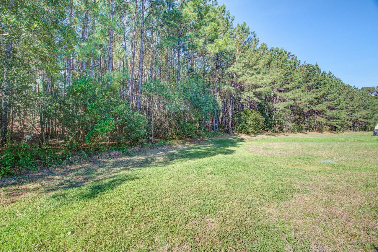 119 Gaura Lane Photo 22