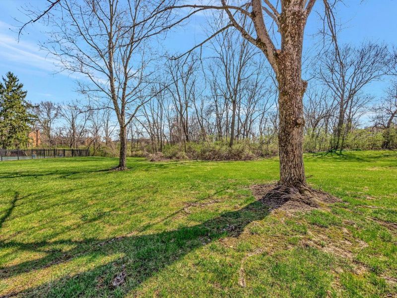 19 Creekwood Square, Glendale, OH 45246 Photo 32