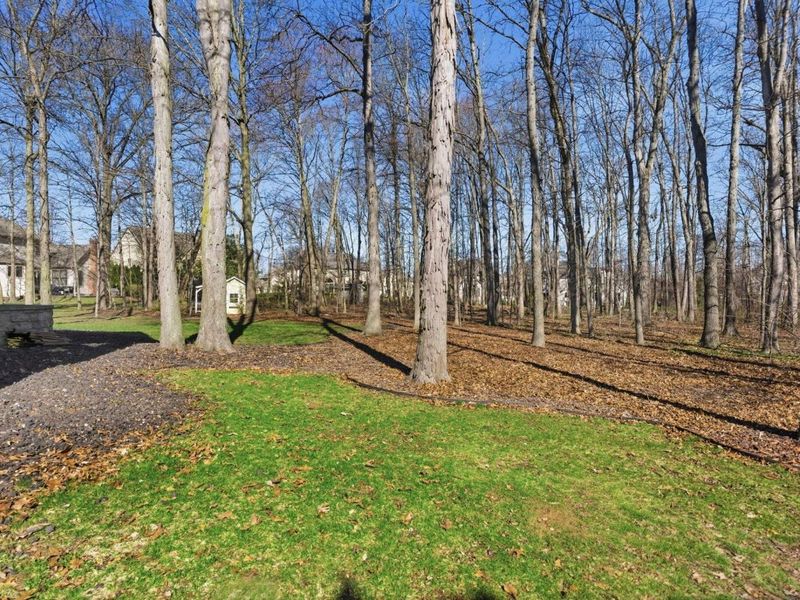 2589 Aikin Circle S, Lewis Center, OH 43035 Photo 93