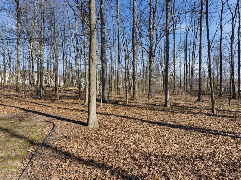 2589 Aikin Circle S, Lewis Center, OH 43035 Photo 94