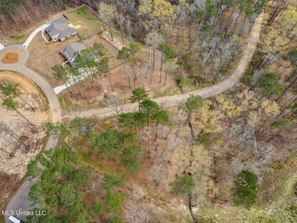 Brookhollow Lot 5 Court, Flowood, MS 39232