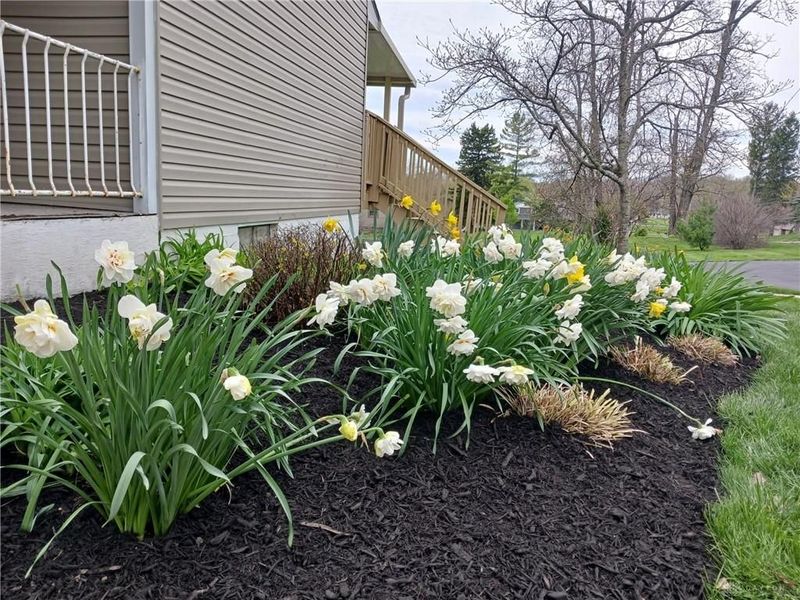 8267 S Brown School Road, Vandalia, OH 45377 Photo 49