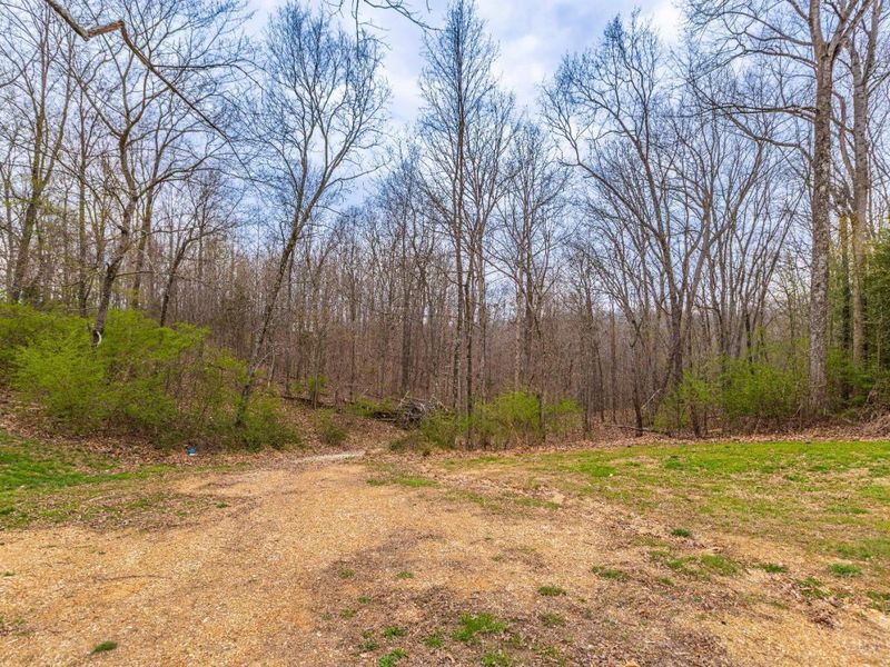 1025 Davis Memorial Road, Peebles, OH 45660 Photo 45