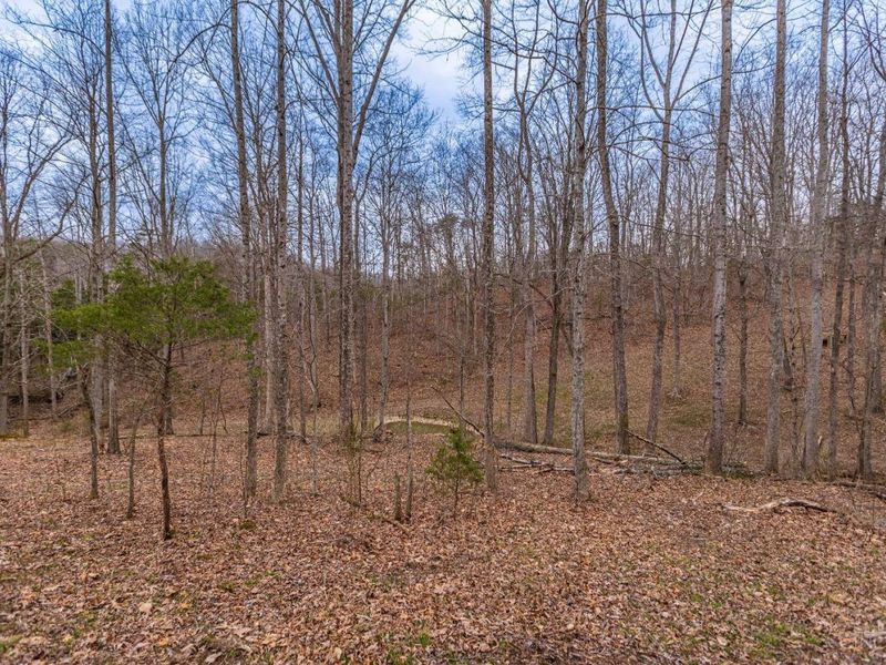 1025 Davis Memorial Road, Peebles, OH 45660 Photo 46