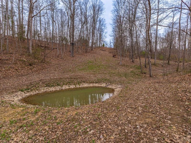 1025 Davis Memorial Road, Peebles, OH 45660 Photo 47