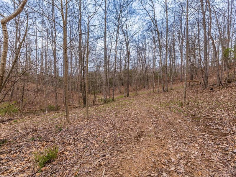 1025 Davis Memorial Road, Peebles, OH 45660 Photo 48