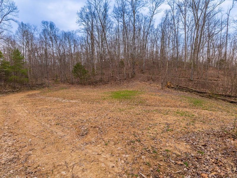 1025 Davis Memorial Road, Peebles, OH 45660 Photo 49