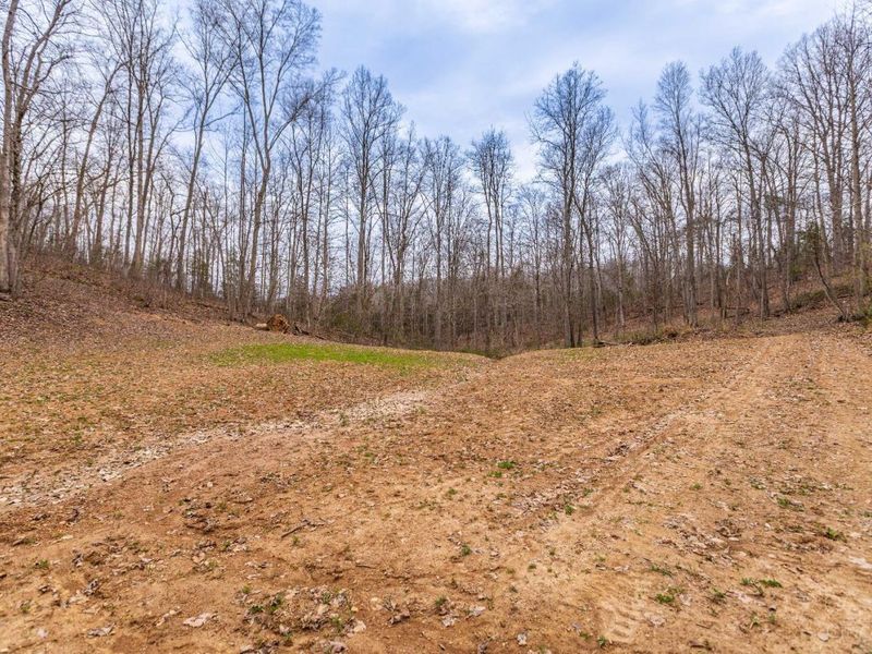 1025 Davis Memorial Road, Peebles, OH 45660 Photo 50