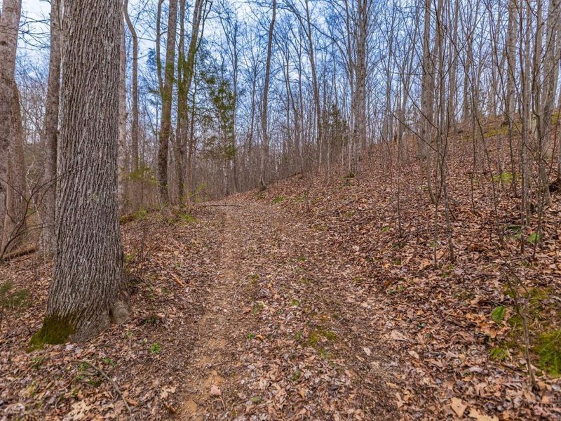 1025 Davis Memorial Road, Peebles, OH 45660 Photo 51