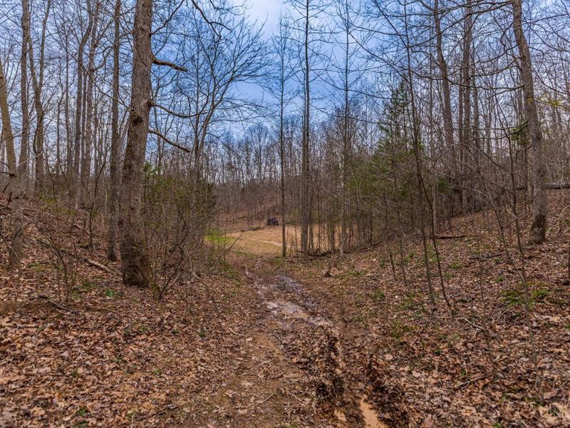 1025 Davis Memorial Road, Peebles, OH 45660 Photo 52